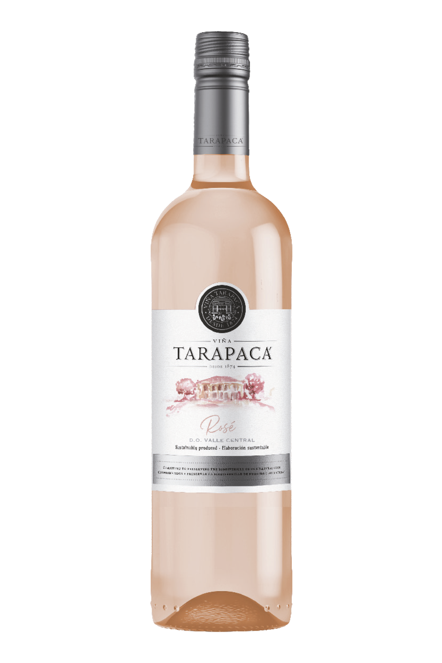 VIÑA TARAPACÁ Rosé - Producer : Viña Tarapacá from Maipo Valley, Chile